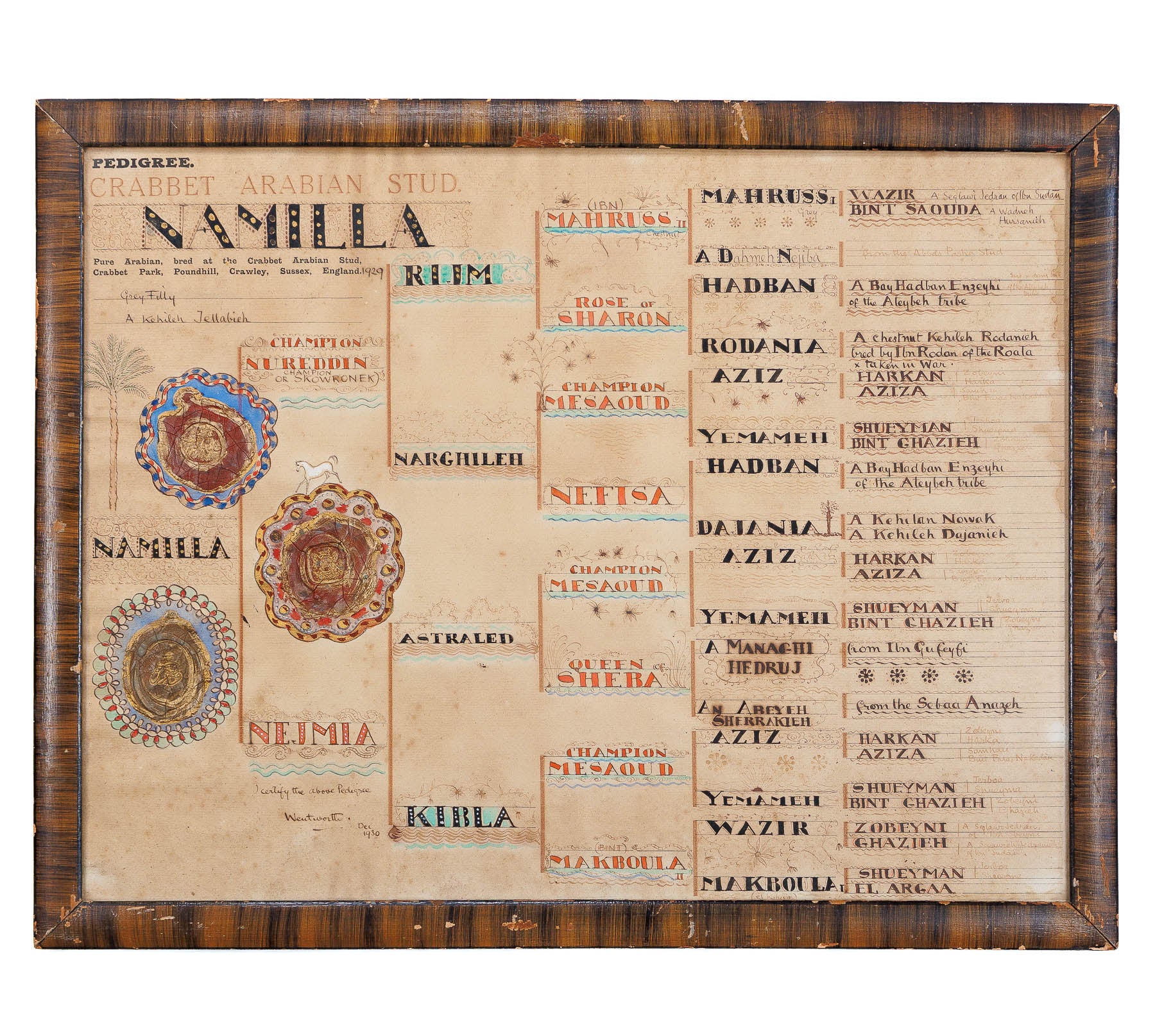 <center> 1920 <P> NAMILLA <i> Crabbet Arabian Stud </i><br> HAND INKED & PAINTED PEDIGREE <br><i> Sussex, England </i><br> with ILLUMINATED SEALS <p><center>